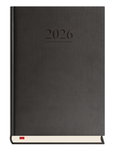 T-203V-V
