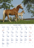 TW-10-6 (1) Kalendarz domowy