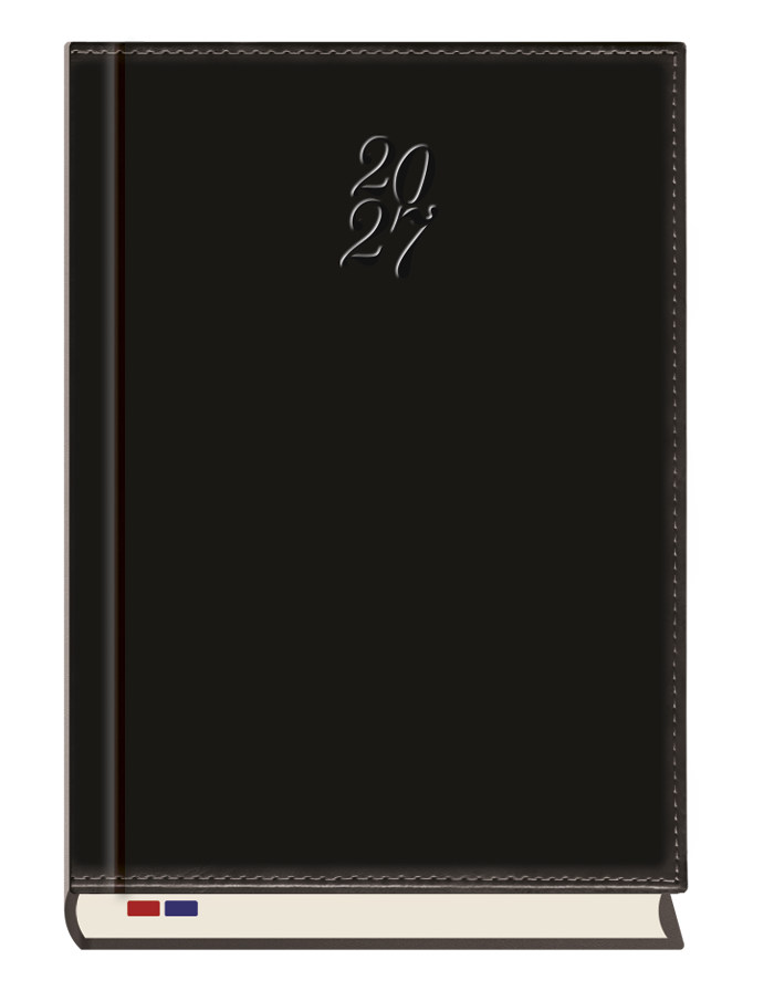 T-246N-59 Terminarz Ambasador