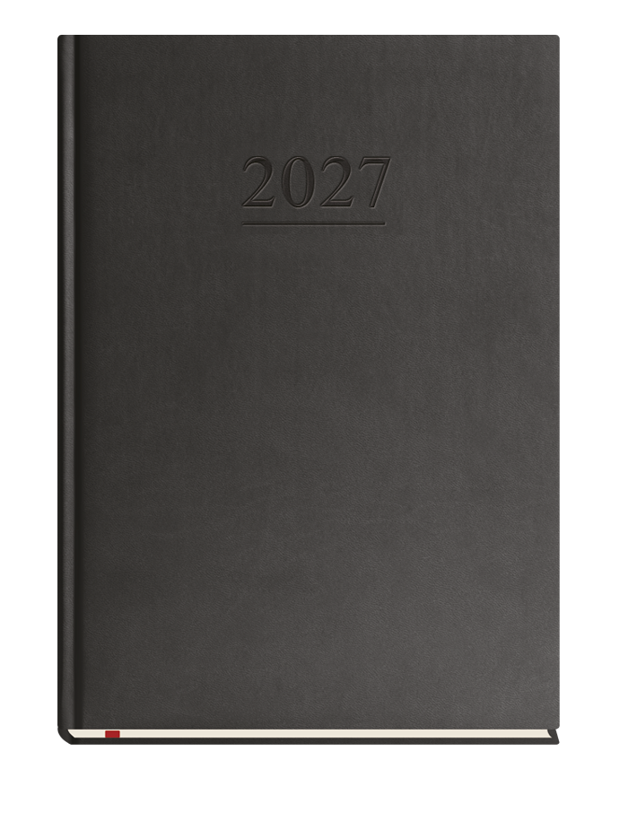 T-218V-V Terminarz Uniwersalny