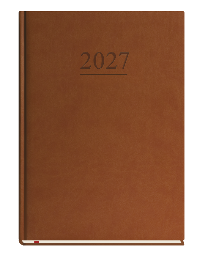 T-221V-S2 Terminarz Klasyczny