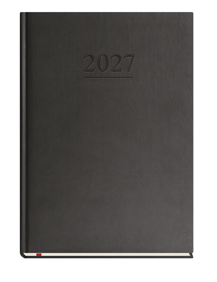 T-221V-V Terminarz Klasyczny