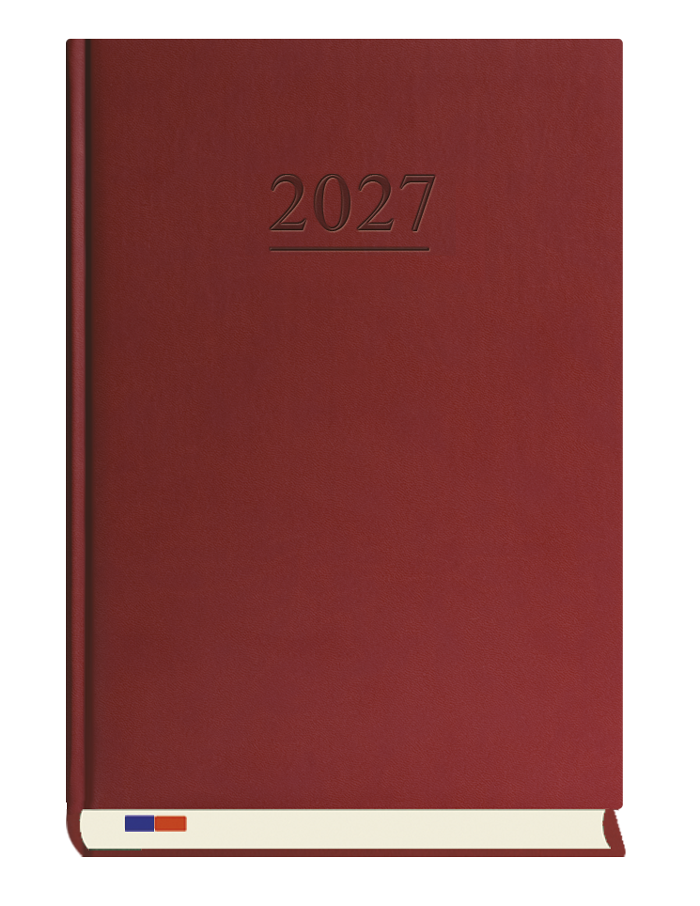 T-229V-B Terminarz Stacjonarny