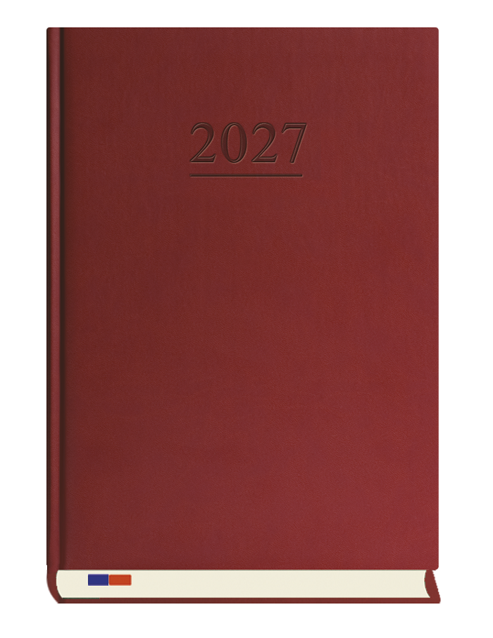 T-229V-B Terminarz Stacjonarny