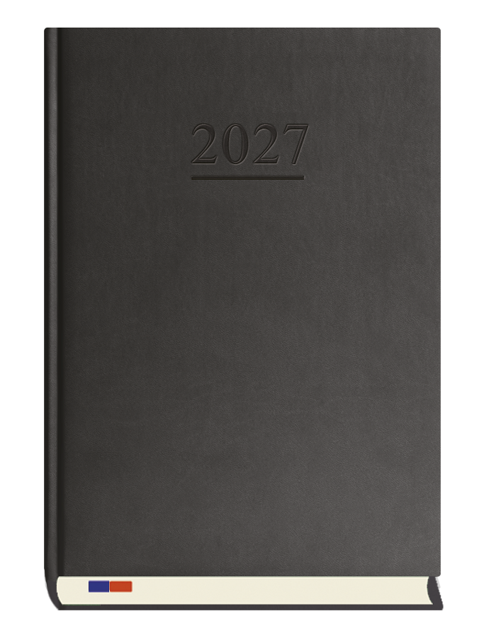T-229V-V Terminarz Stacjonarny