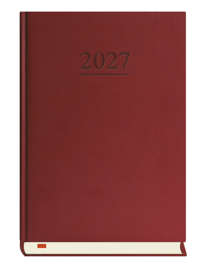 T-203V-B Terminarz Menadżera