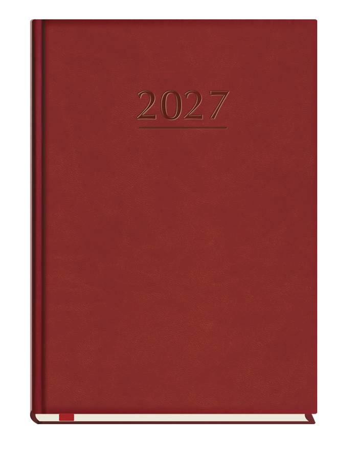 T-209V-B Terminarz Popularny