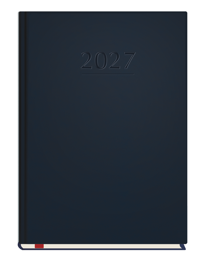 T-209V-G Terminarz Popularny