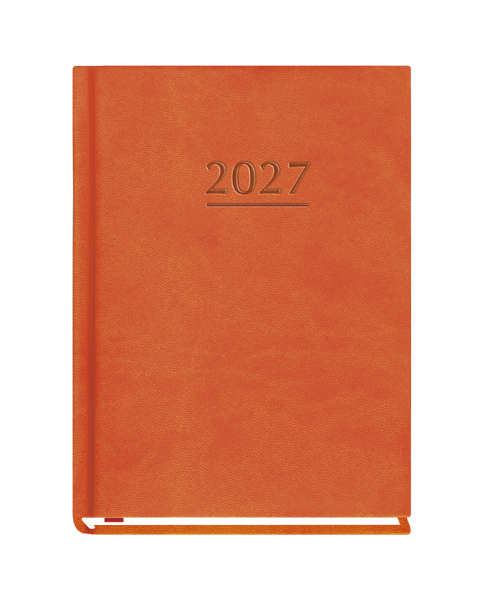 T-212V-P Terminarz Ola