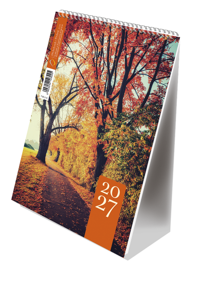 T-101-3-13 Terminarz ze spiralką