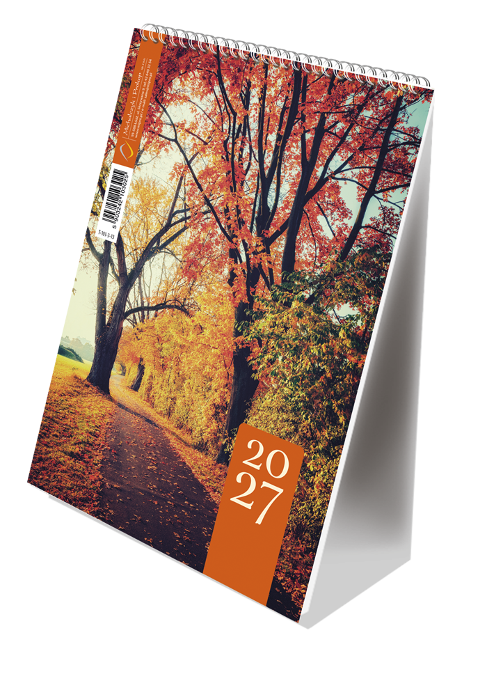 T-101-3-13 Terminarz ze spiralką